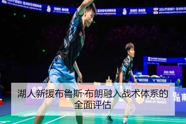 湖人新援布鲁斯·布朗融入战术体系的全面评估